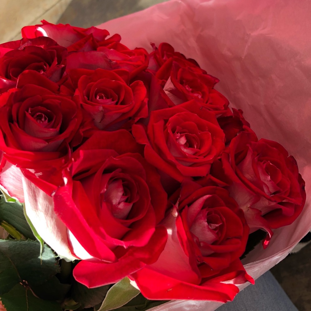 Meet your Posher, Gisselle